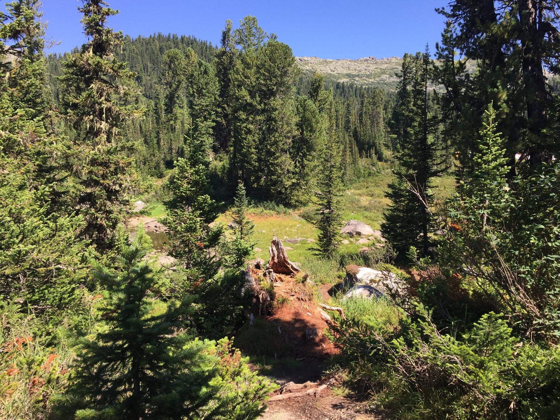 Заповедник Ергаки