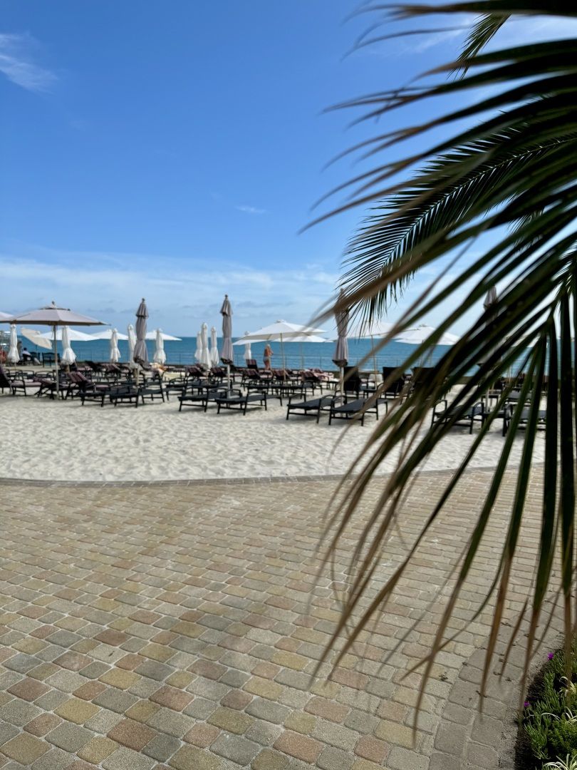 Отдых в Сочи