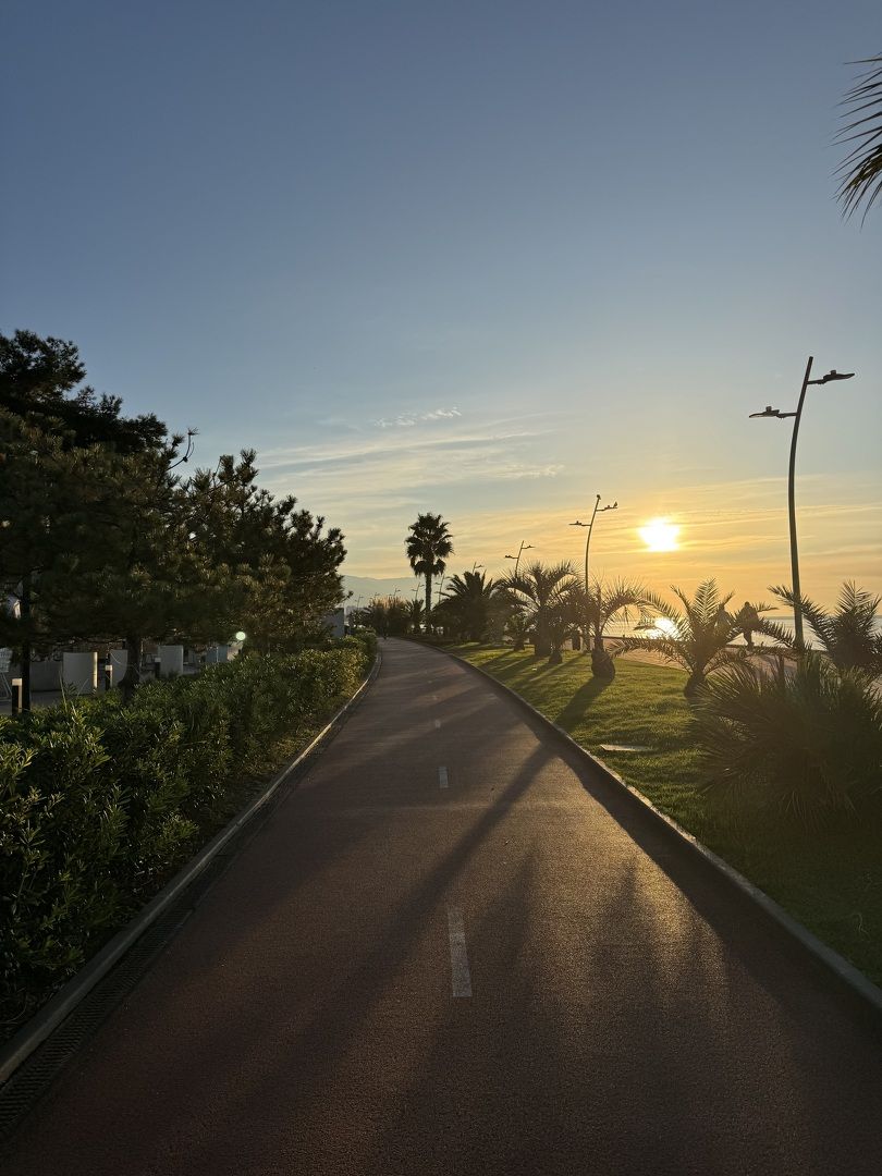 отдых в Сочи