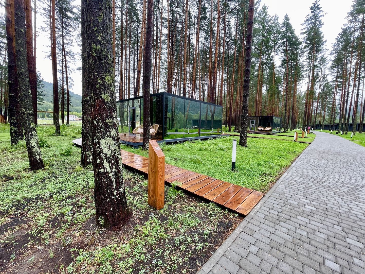 Турция из Барнаула