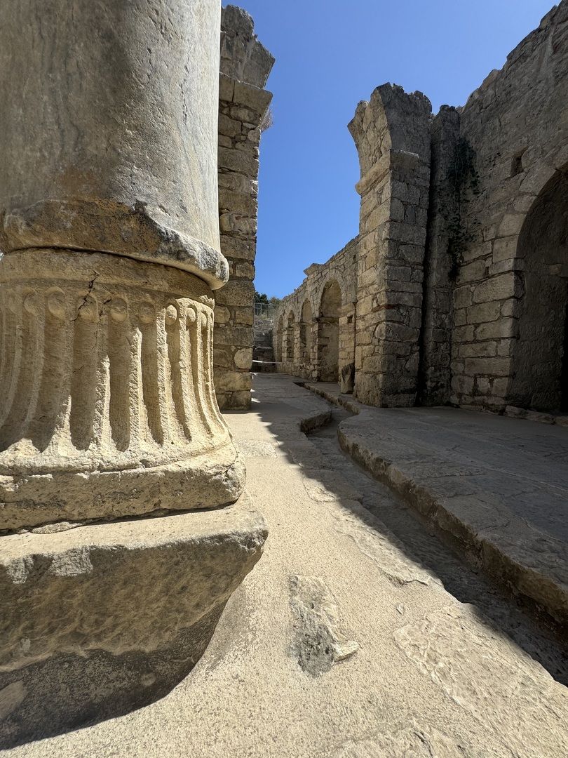 Экскурсионные туры