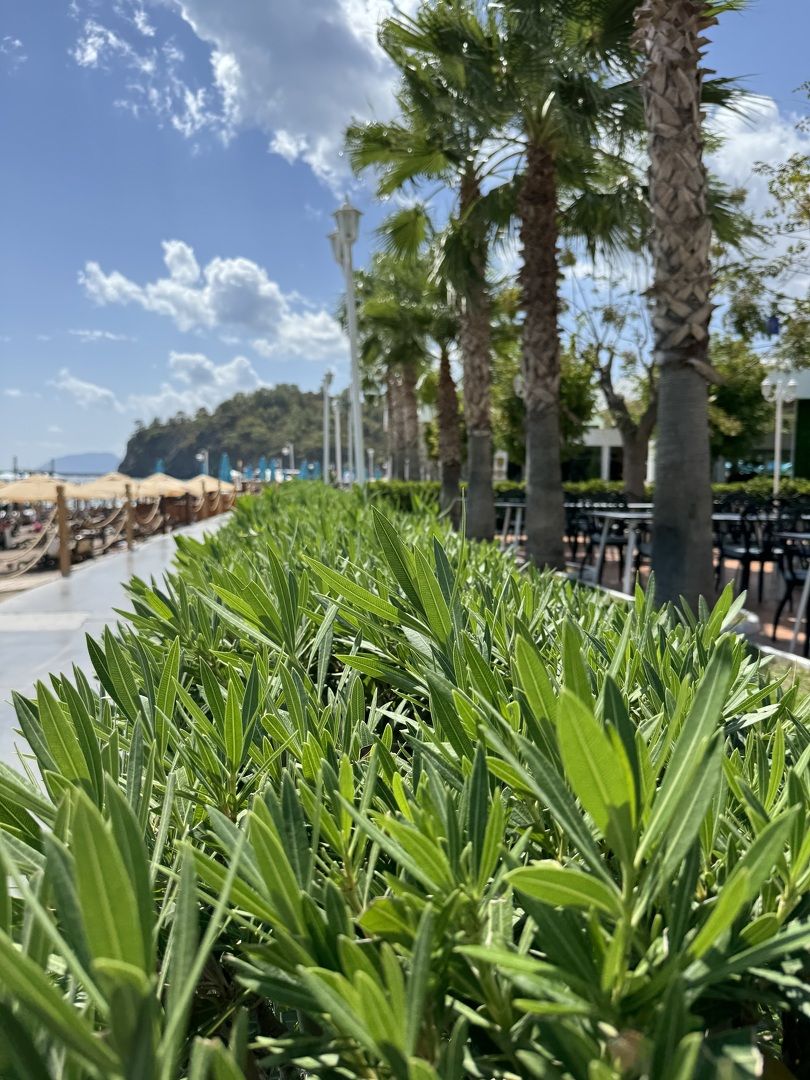 авторские туры