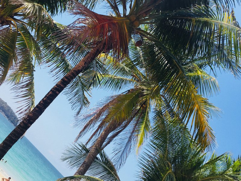 Таиланд из Барнаула